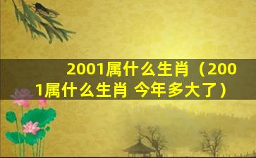 2001属什么生肖（2001属什么生肖 今年多大了）